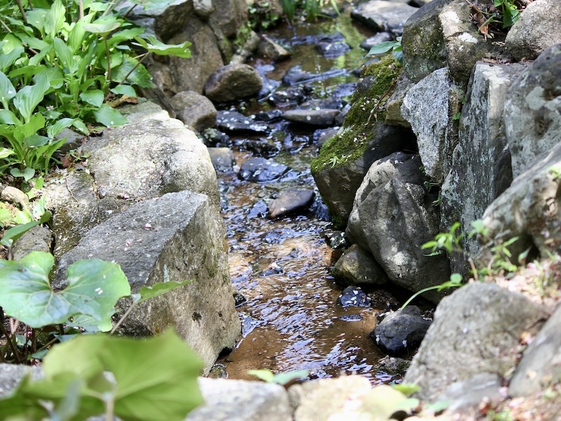 金光院の寺庭に流れる小川